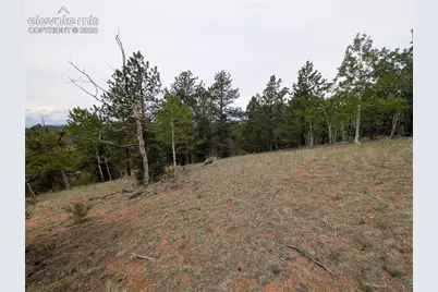 16 Princess Lane, Cripple Creek, CO 80813 - Photo 22