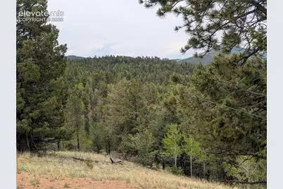 16 Princess Lane, Cripple Creek, CO 80813 - Photo 4