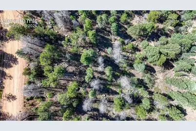 3454 N Mountain Estates Road, Florissant, CO 80816 - Photo 4