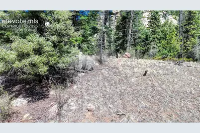 3454 N Mountain Estates Road, Florissant, CO 80816 - Photo 22