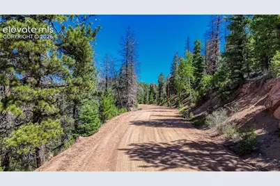 3454 N Mountain Estates Road, Florissant, CO 80816 - Photo 30