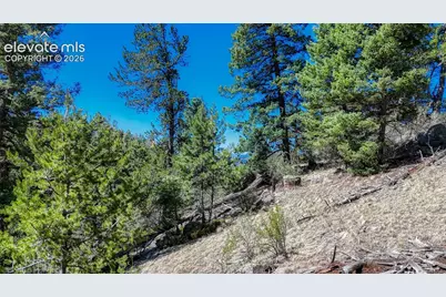 3454 N Mountain Estates Road, Florissant, CO 80816 - Photo 28