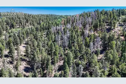 3454 N Mountain Estates Road, Florissant, CO 80816 - Photo 18