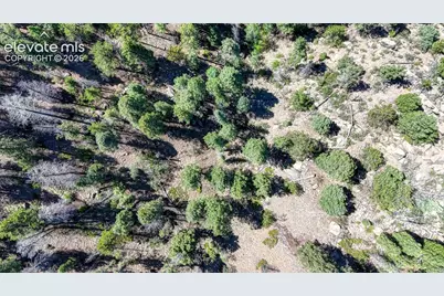 3454 N Mountain Estates Road, Florissant, CO 80816 - Photo 16
