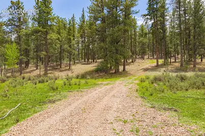 4250 Doe Valley Road, Guffey, CO 80820 - Photo 4