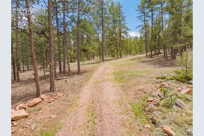 4250 Doe Valley Road, Guffey, CO 80820 - Photo 20