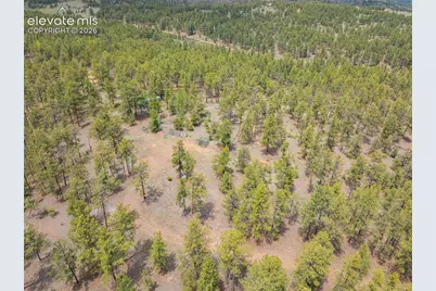 4250 Doe Valley Road, Guffey, CO 80820 - Photo 26