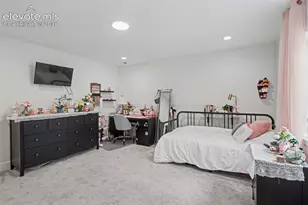 9234 Gallery Pl, Colorado Springs, CO 80924 - Photo 34
