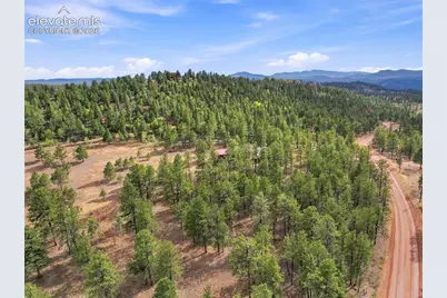 492 Trail Creek Road, Lake George, CO 80827 - Photo 44