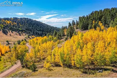 230 Penrose Circle, Cripple Creek, CO 80813 - Photo 46
