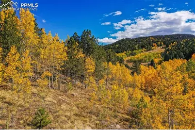 230 Penrose Circle, Cripple Creek, CO 80813 - Photo 42
