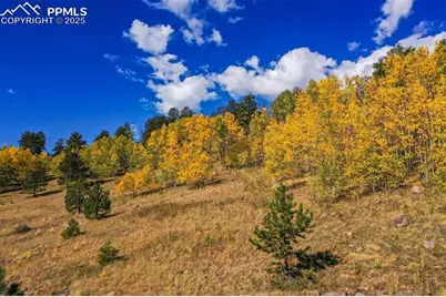 230 Penrose Circle, Cripple Creek, CO 80813 - Photo 40
