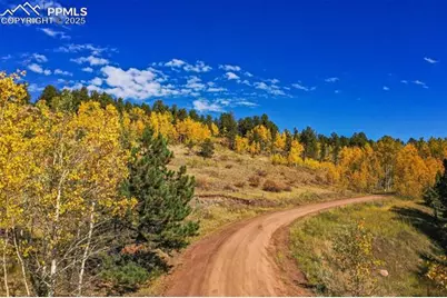 230 Penrose Circle, Cripple Creek, CO 80813 - Photo 50