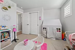 9776 Antelope Ravine Dr, Colorado Springs, CO 80908 - Photo 24