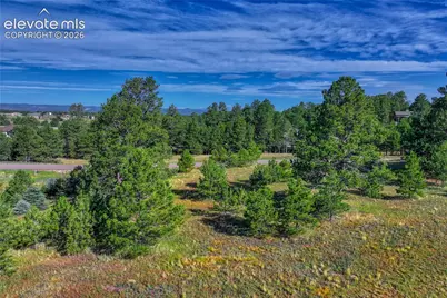 3429 Blue Heron Spring Lane, Colorado Springs, CO 80908 - Photo 8