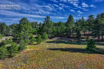 3429 Blue Heron Spring Lane, Colorado Springs, CO 80908 - Photo 4
