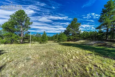 3429 Blue Heron Spring Lane, Colorado Springs, CO 80908 - Photo 22