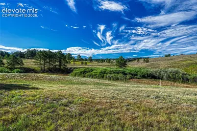 3429 Blue Heron Spring Lane, Colorado Springs, CO 80908 - Photo 18