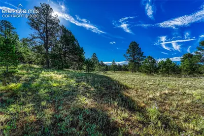 3429 Blue Heron Spring Lane, Colorado Springs, CO 80908 - Photo 12