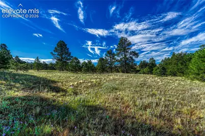 3429 Blue Heron Spring Lane, Colorado Springs, CO 80908 - Photo 6