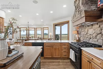 15533 S Perry Park Road, Larkspur, CO 80118 - Photo 20