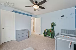 7478 Benecia Dr, Fountain, CO 80817 - Photo 30