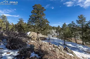730 Cheyenne Creek Dr, Lake George, CO 80827 - Photo 32