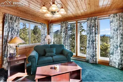 730 Cheyenne Creek Drive, Lake George, CO 80827 - Photo 12