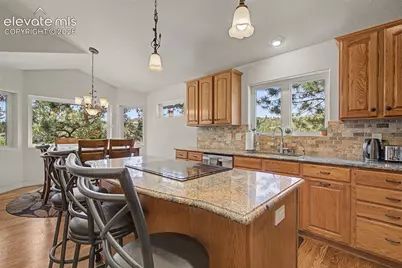 1670 Hard Rock Point, Colorado Springs, CO 80919 - Photo 12