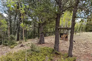 1052 Crown Point Cir, Cripple Creek, CO 80813 - Photo 40