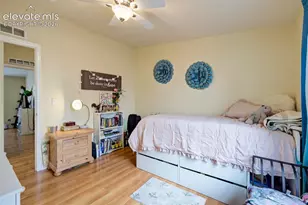 7647 Whiptail Point, Colorado Springs, CO 80922 - Photo 30