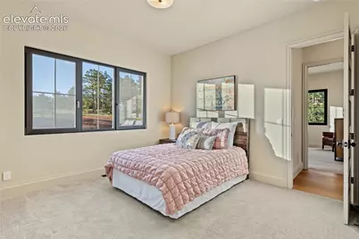 10593 Alamar Way, Colorado Springs, CO 80908 - Photo 24
