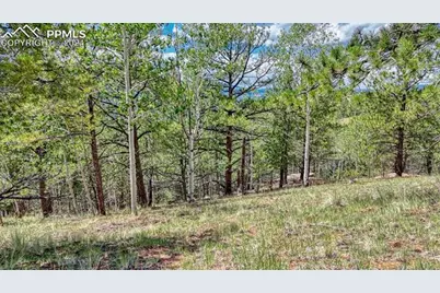 24 Wild Horse Circle, Cripple Creek, CO 80813 - Photo 16