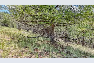 24 Wild Horse Circle, Cripple Creek, CO 80813 - Photo 20