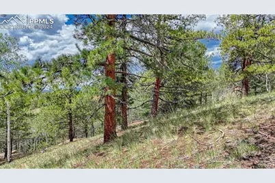 24 Wild Horse Circle, Cripple Creek, CO 80813 - Photo 6