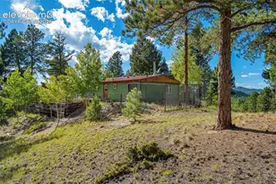 176 Chalk Circle Trail, Florissant, CO 80816 - Photo 32