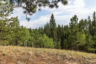 2644 Pathfinder Rd, Florissant, CO 80816 - Photo 12