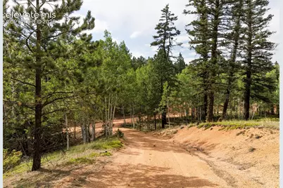 2644 Pathfinder Road, Florissant, CO 80816 - Photo 8