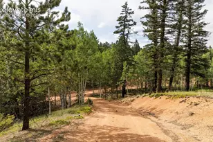 2644 Pathfinder Rd, Florissant, CO 80816 - Photo 8