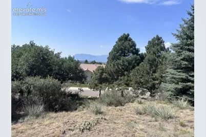 5535 Canvasback Court, Colorado Springs, CO 80918 - Photo 8