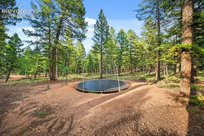 1933 County Road 782, Woodland Park, CO 80863 - Photo 42