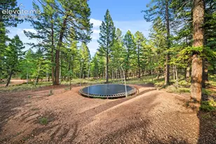 1933 Co Rd 782, Woodland Park, CO 80863 - Photo 42