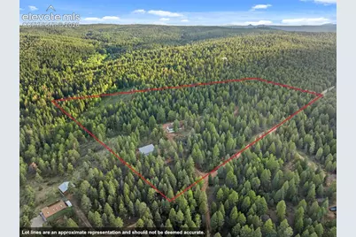 1933 County Road 782, Woodland Park, CO 80863 - Photo 38