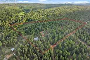 1933 Co Rd 782, Woodland Park, CO 80863 - Photo 38
