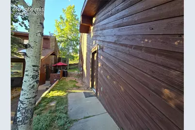 249 E Lake Avenue, Woodland Park, CO 80863 - Photo 20