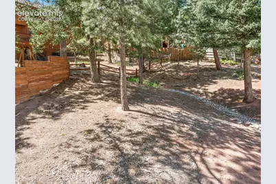 671 Misty Pines Circle, Woodland Park, CO 80863 - Photo 44
