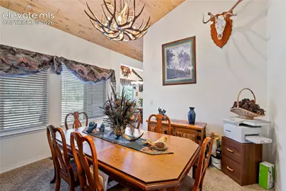 3133 Homestake Place, Lake George, CO 80827 - Photo 12