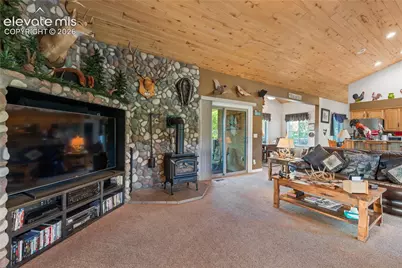 3133 Homestake Place, Lake George, CO 80827 - Photo 4
