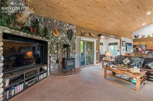 3133 Homestake Pl, Lake George, CO 80827 - Photo 4