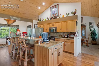 3133 Homestake Place, Lake George, CO 80827 - Photo 6